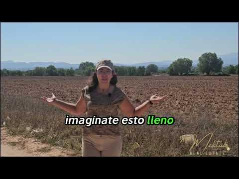 Previsualización de video