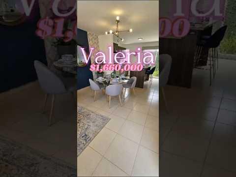 Previsualización de video